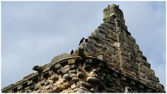 Castle St. Andrews / Schottland : Detail