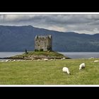 Castle Stalker