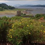 Castle Stalker