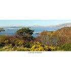 Castle Stalker