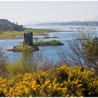 Castle Stalker