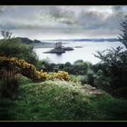 castle stalker