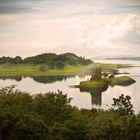 Castle Stalker II