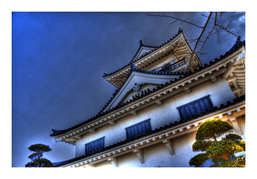 Castle [Tateyama]-2