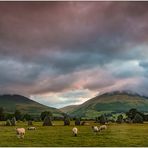 Castlerigg Stones