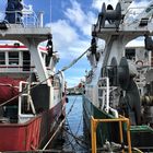 Castletownbere Harbour