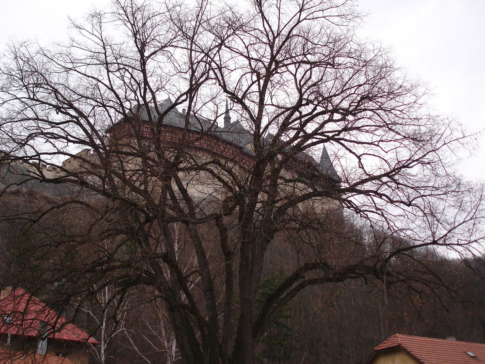 castle&tree