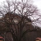 castle&tree