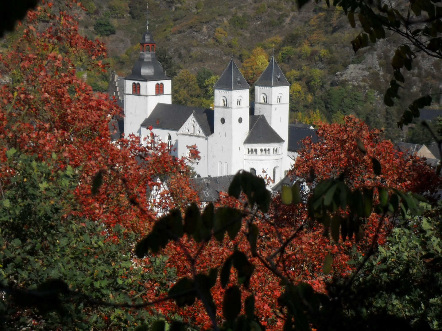 Castor Dom in Treis-Karden