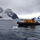 Castortransporter in der Antarctis