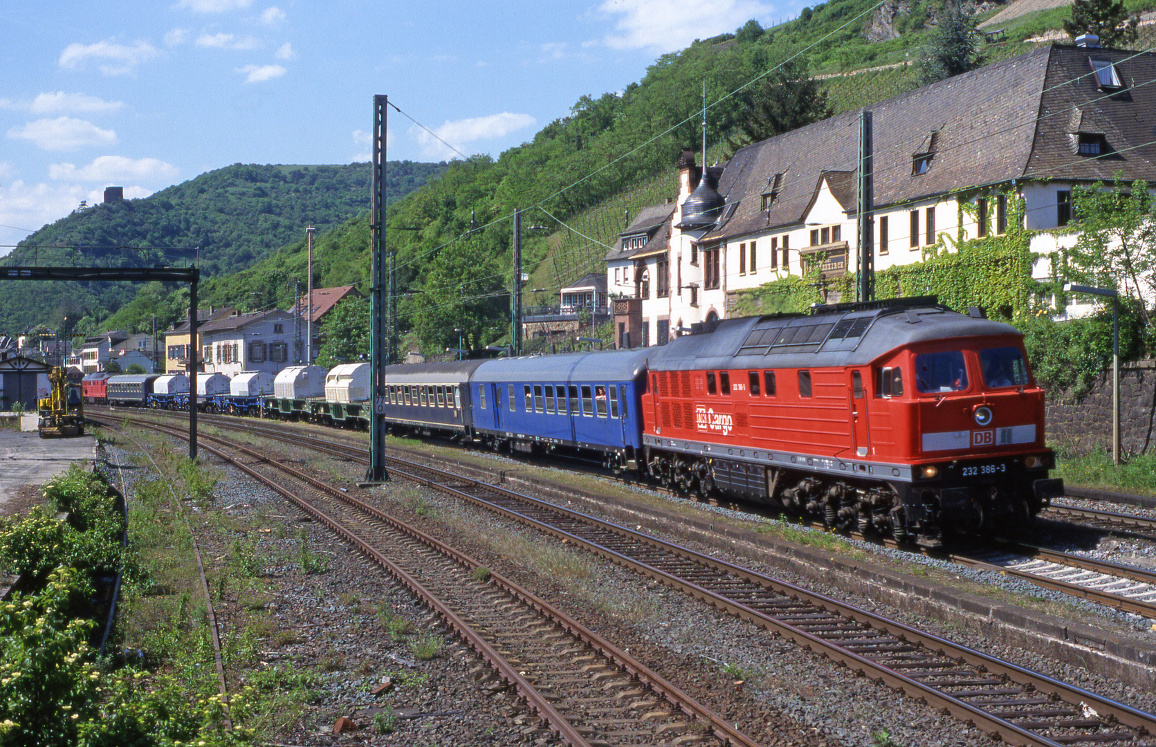 Castorzug im Rheintal