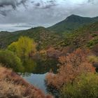 CASTRIPICÓN Y EL RÍO GUADIATO (Dedicada a mi amigo ANTIQVA)