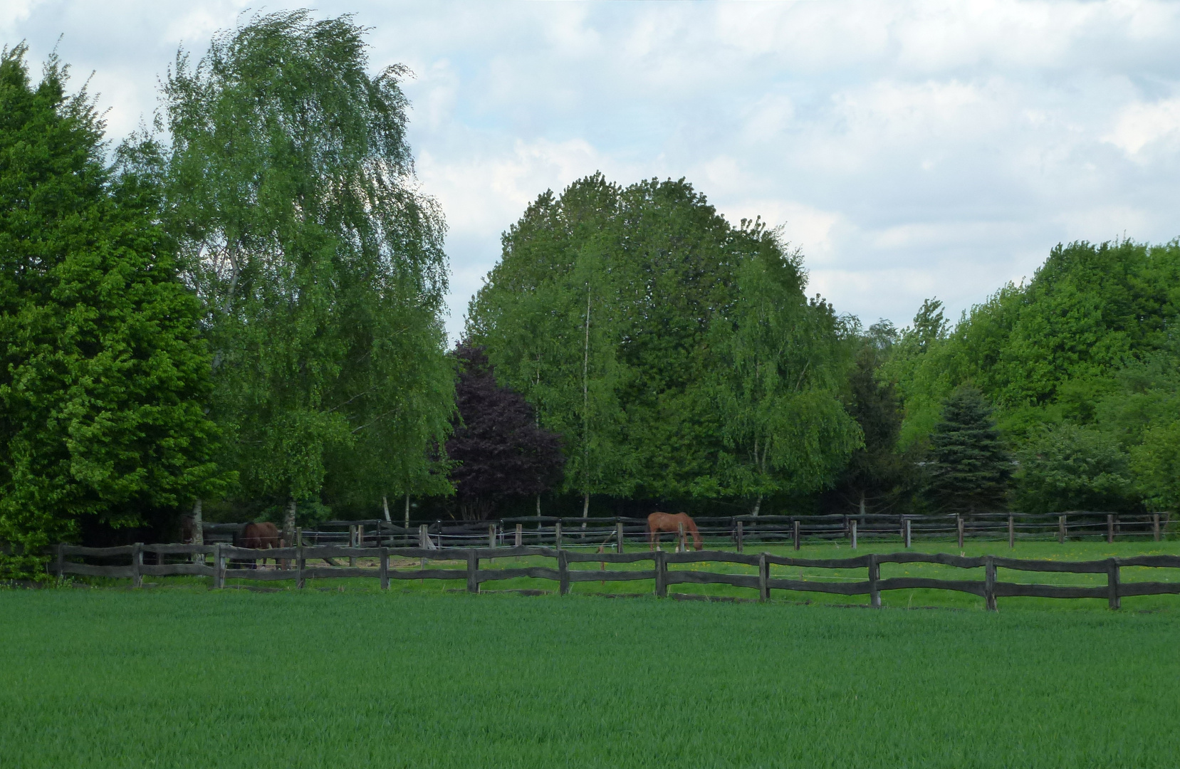 Castrop-Rauxel "Weg Idylle"