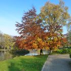 Castroper Stadtgarten im Herbst