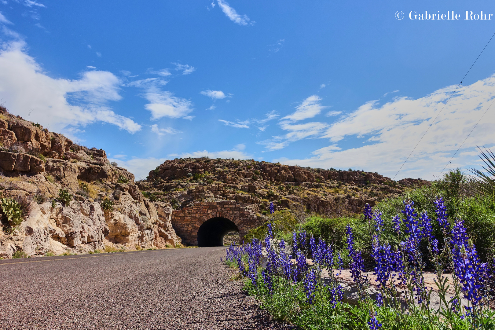 Castroville Foto & Bild north america, united states, texas Bilder
