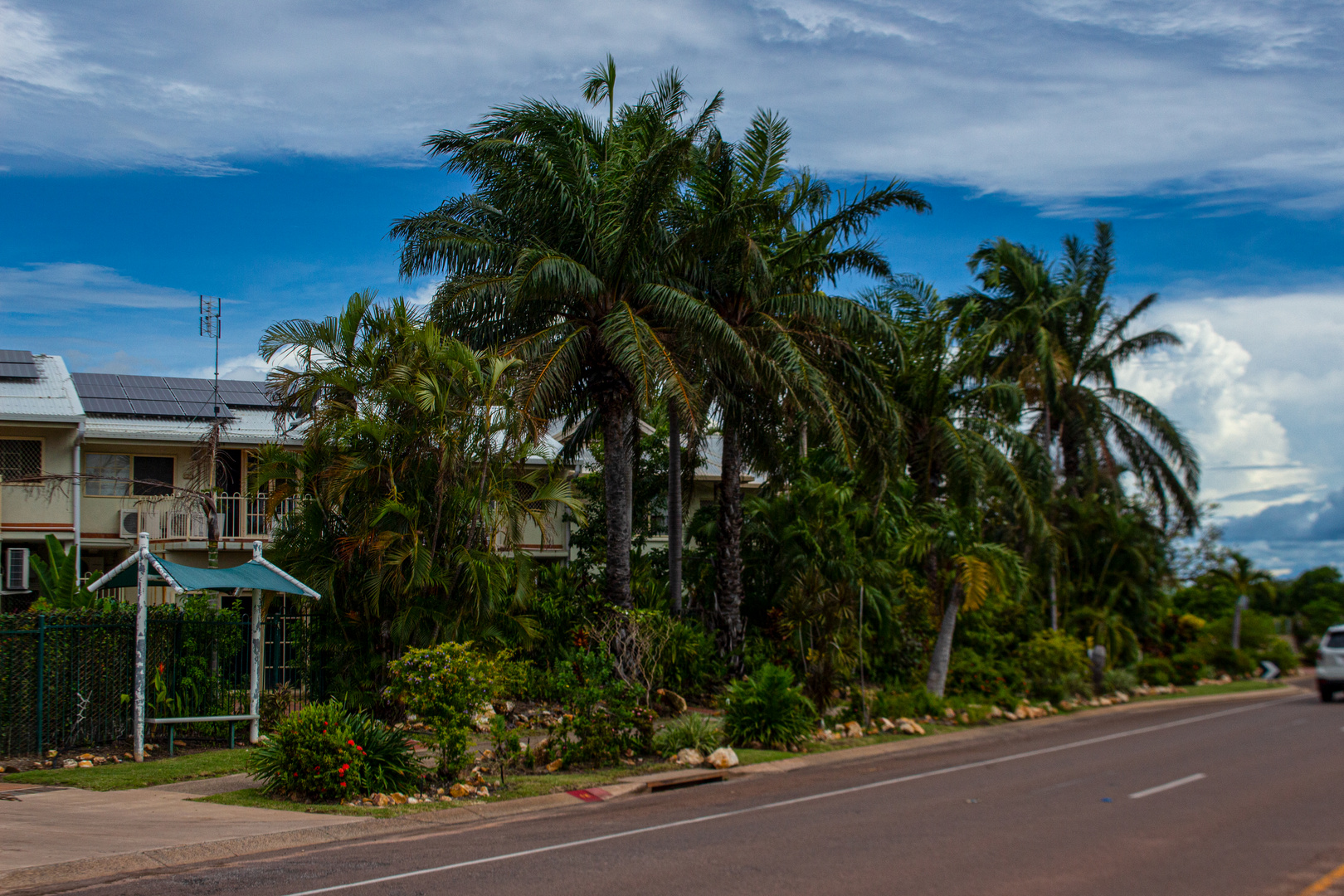 Casuarina Drive