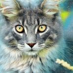 ... cat and blade of grass