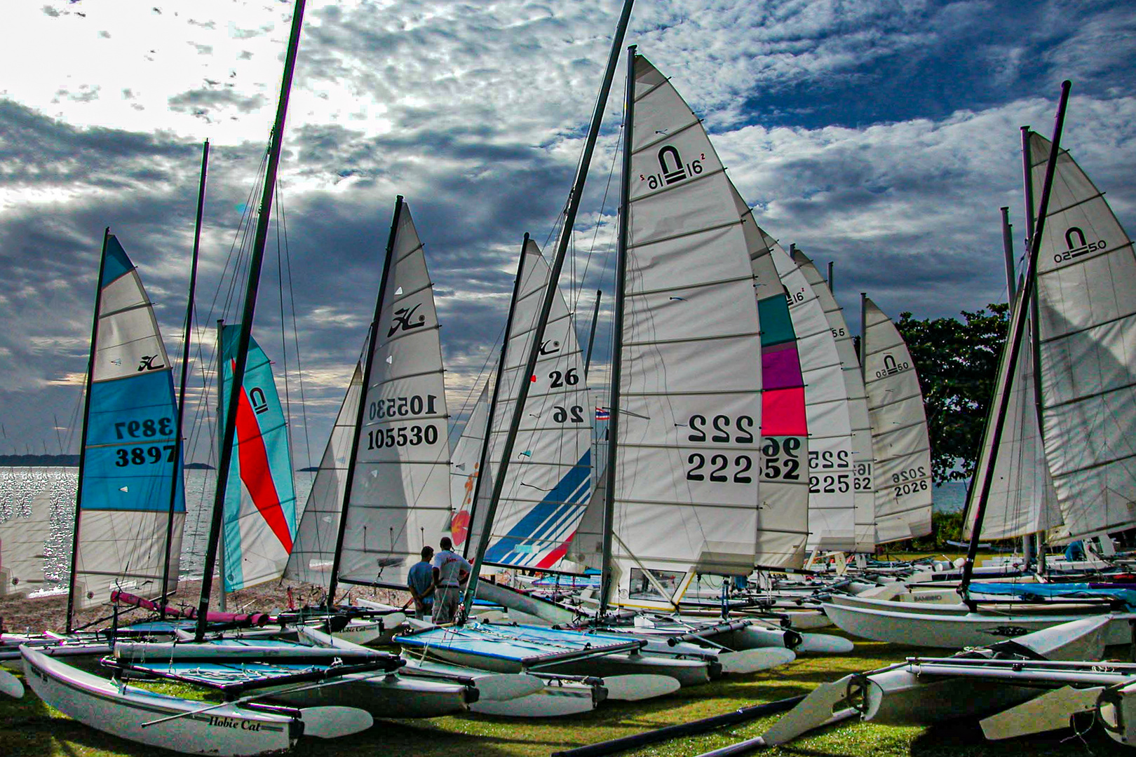 Cat boats ready for the race