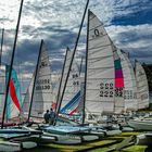 Cat boats ready for the race