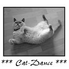 *** Cat-Dance ***