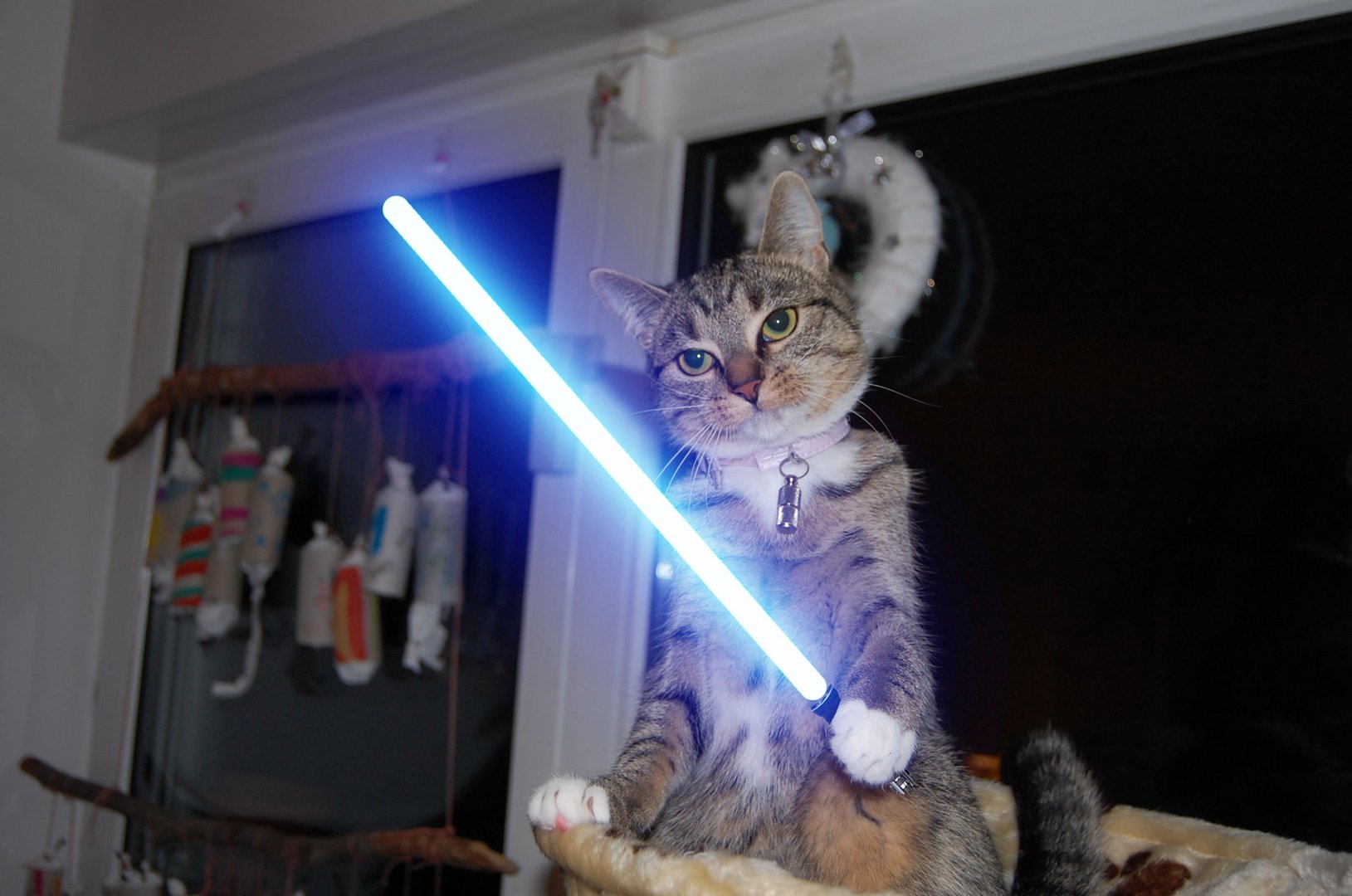 Cat Katze Gato Chibi Jediritter Meow Starwars