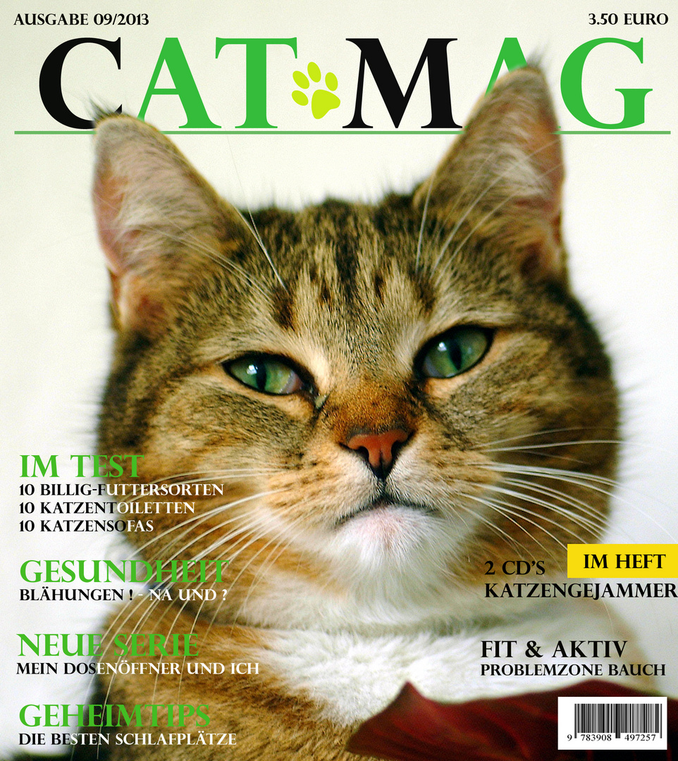 Cat Mag