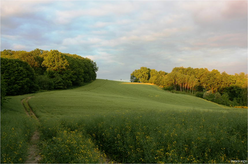 Cat Mountains / Katzengebirge