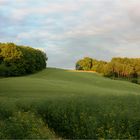 Cat Mountains / Katzengebirge