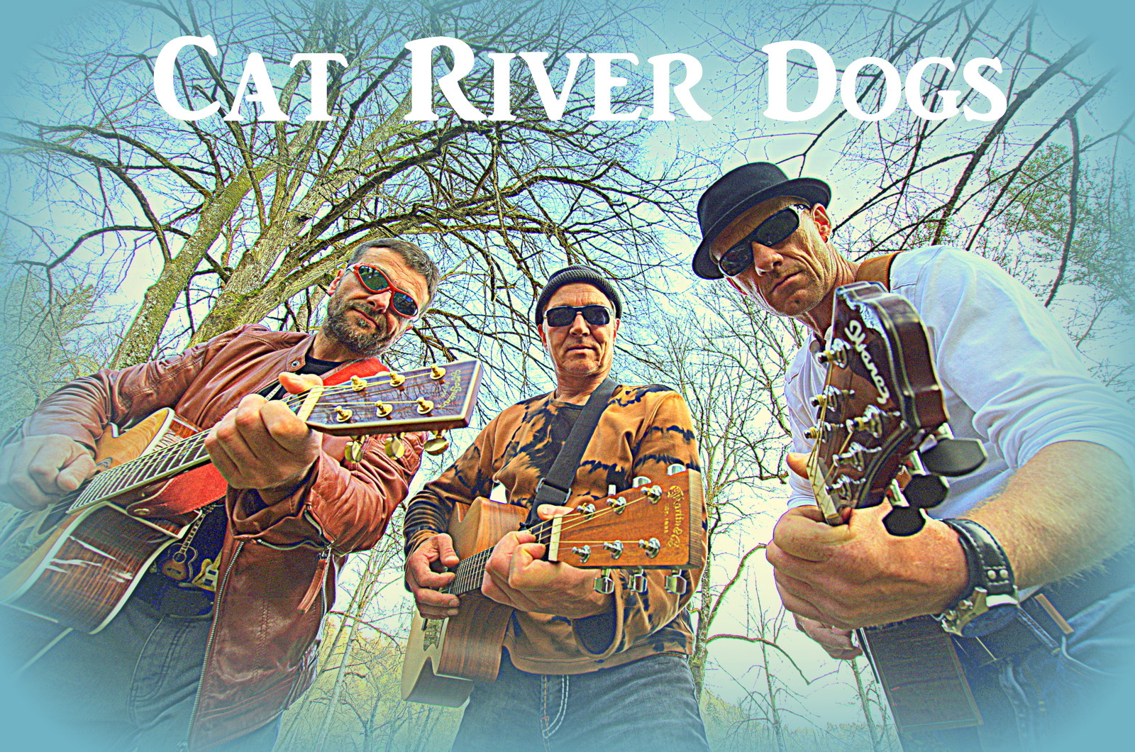 cat river dogs