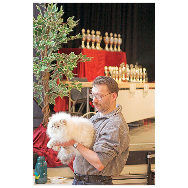 Cat Show #3: Siegertyp?