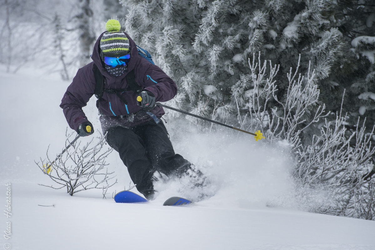 Cat Skiing in Priiskovy Sibirien