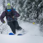 Cat Skiing in Priiskovy Sibirien