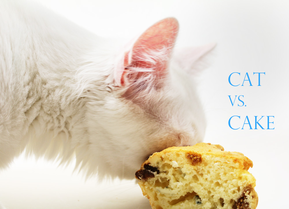 Cat vs. Cake I