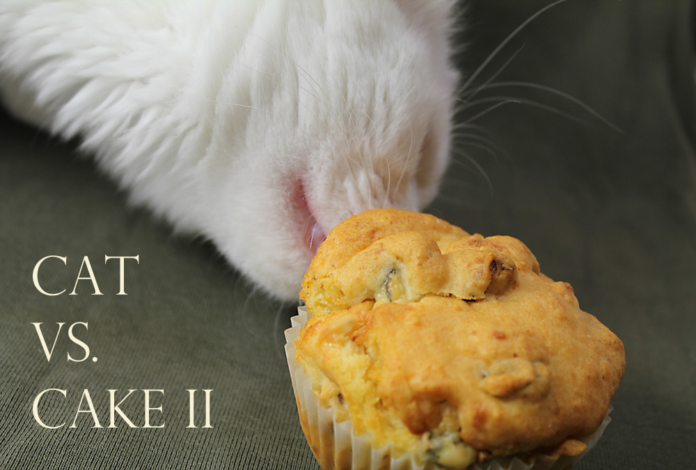 Cat vs. Cake II