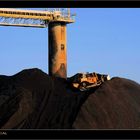 Cat vs Coal