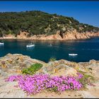 Catalonia | Bay of Tamariu |