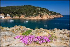 Catalonia | Bay of Tamariu |