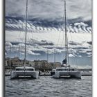 catamarani