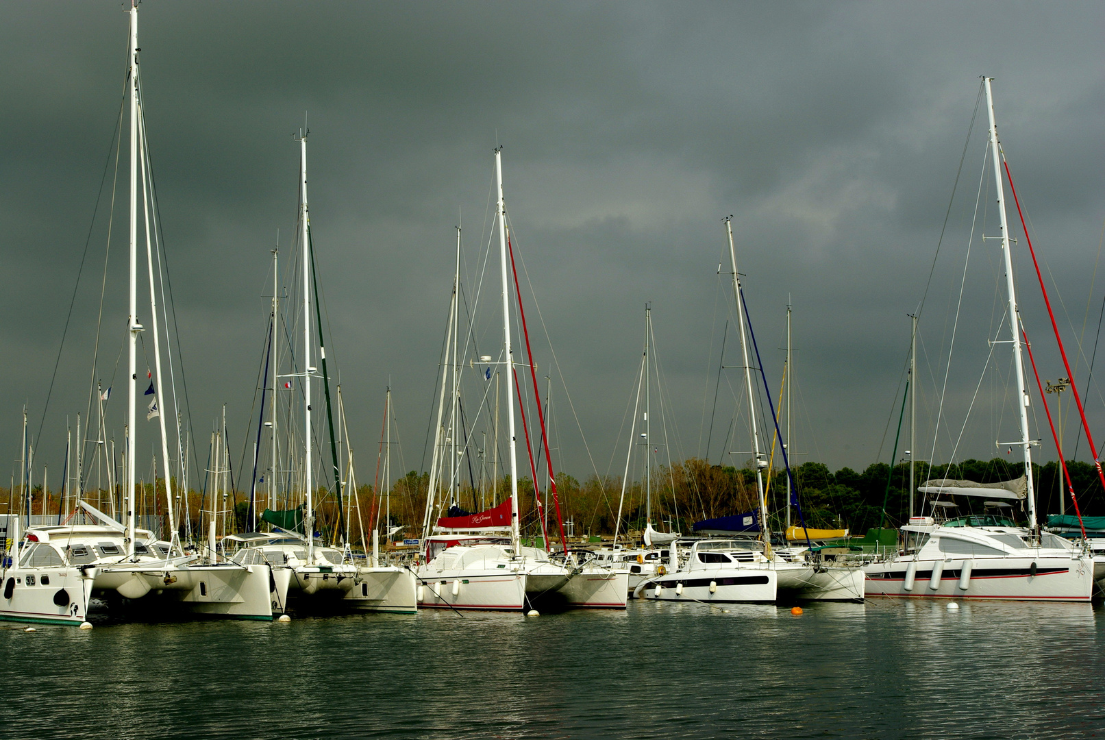 Catamarans au port