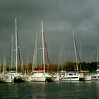 Catamarans au port