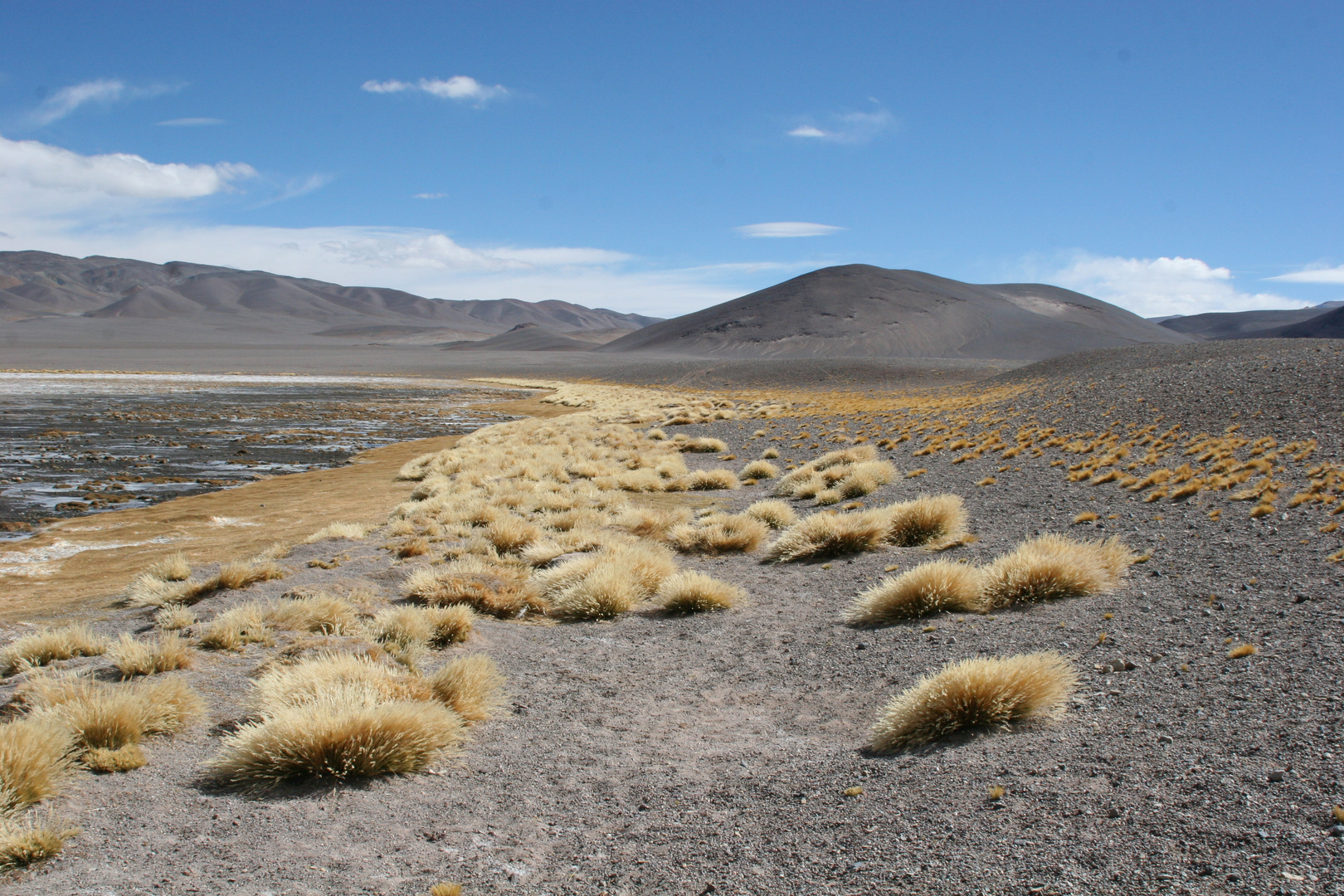 Catamarca, Argentinien 2009.