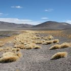 Catamarca, Argentinien 2009.