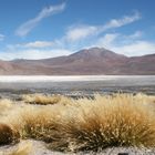 Catamarca, Argentinien im April 2009.