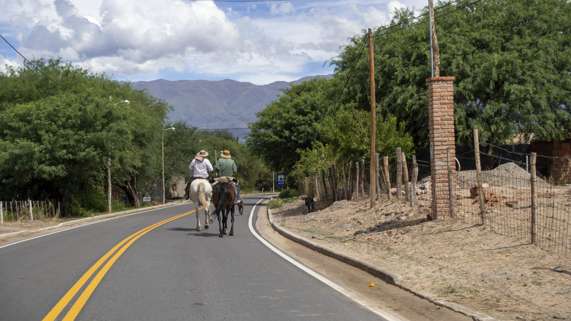 Catamarca - RN40 - Reiter