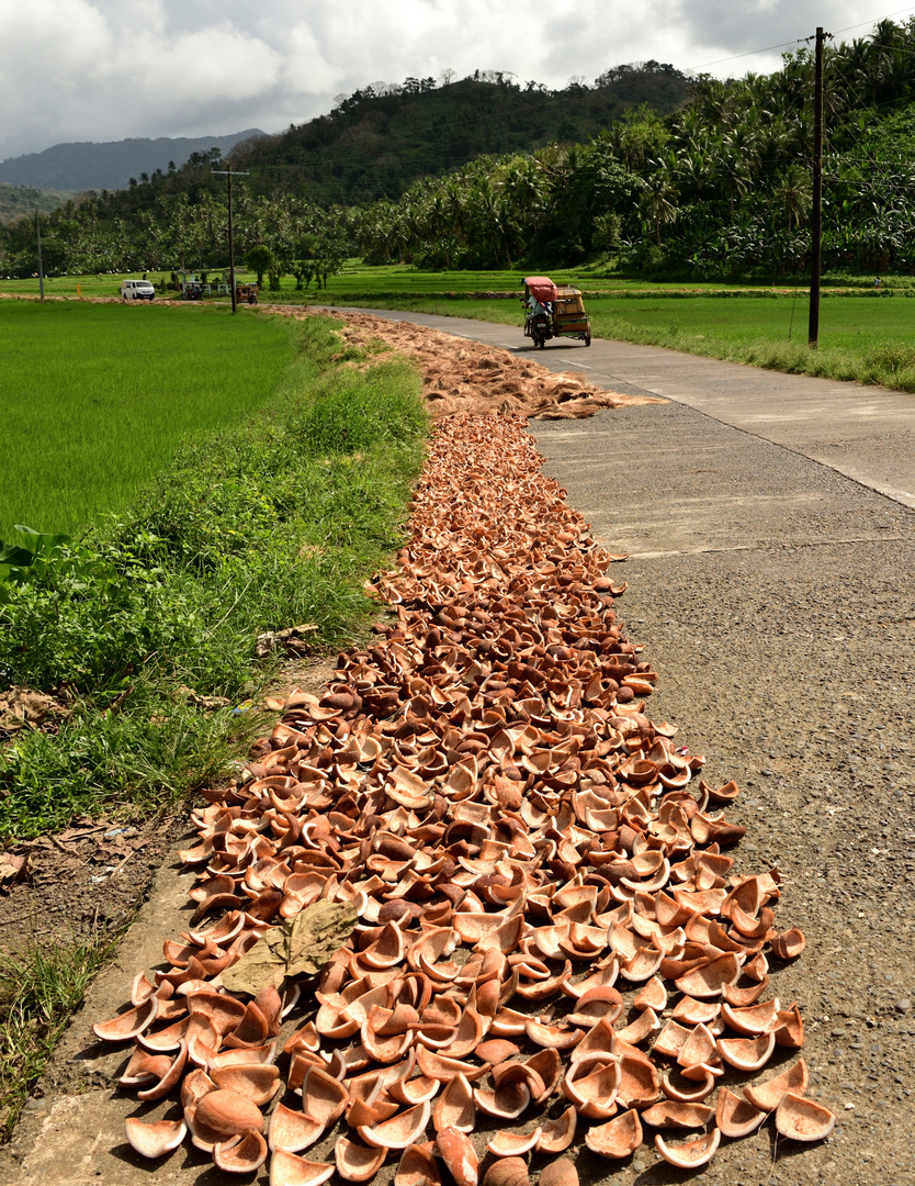 Catanduanes Products 3