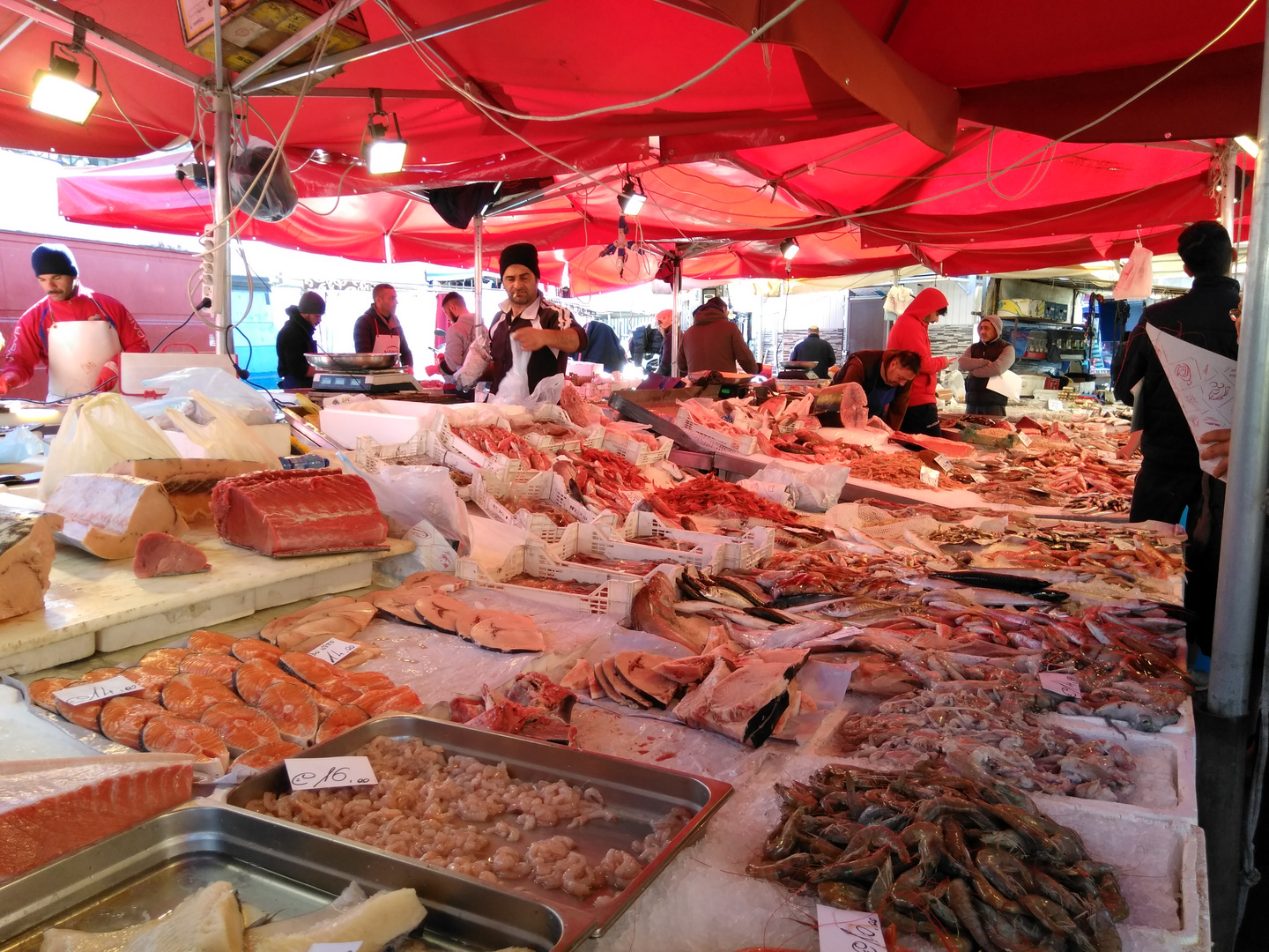 Catania (6), Sicilia, Fischstand an der Piazza Carlo Alberto