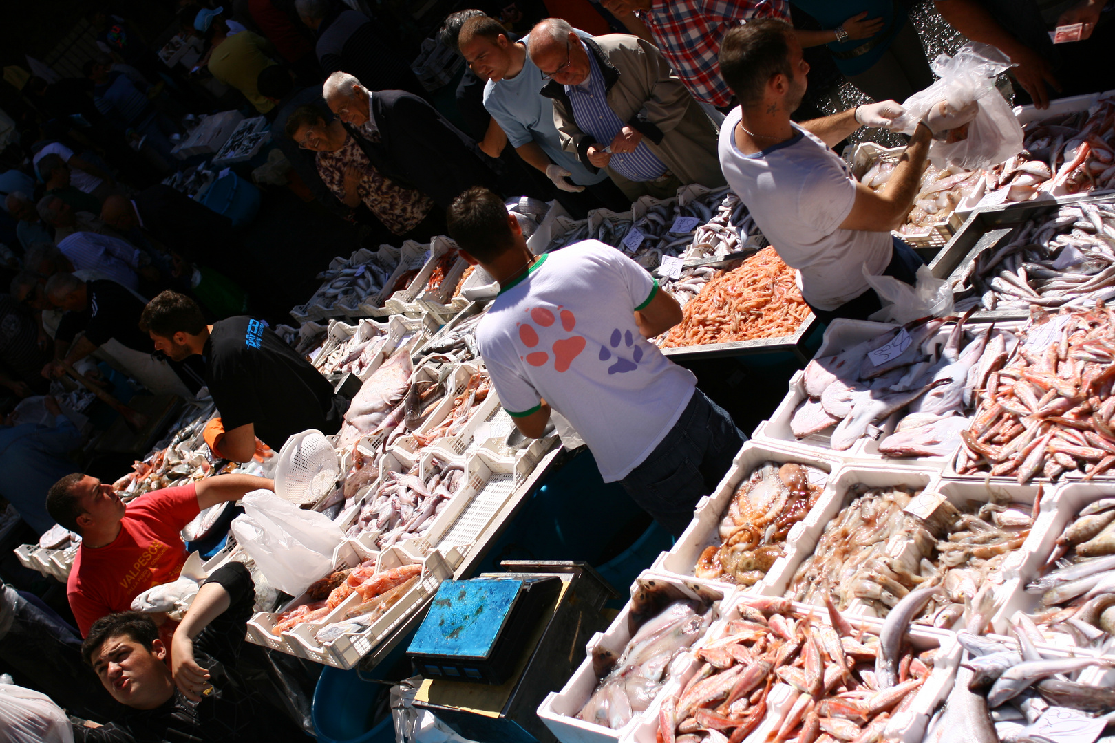 Catania, mercato del pesce