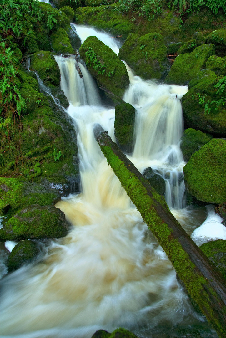 Cataract Falls (I)