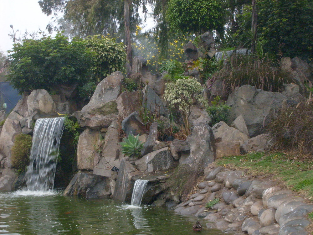 catarata