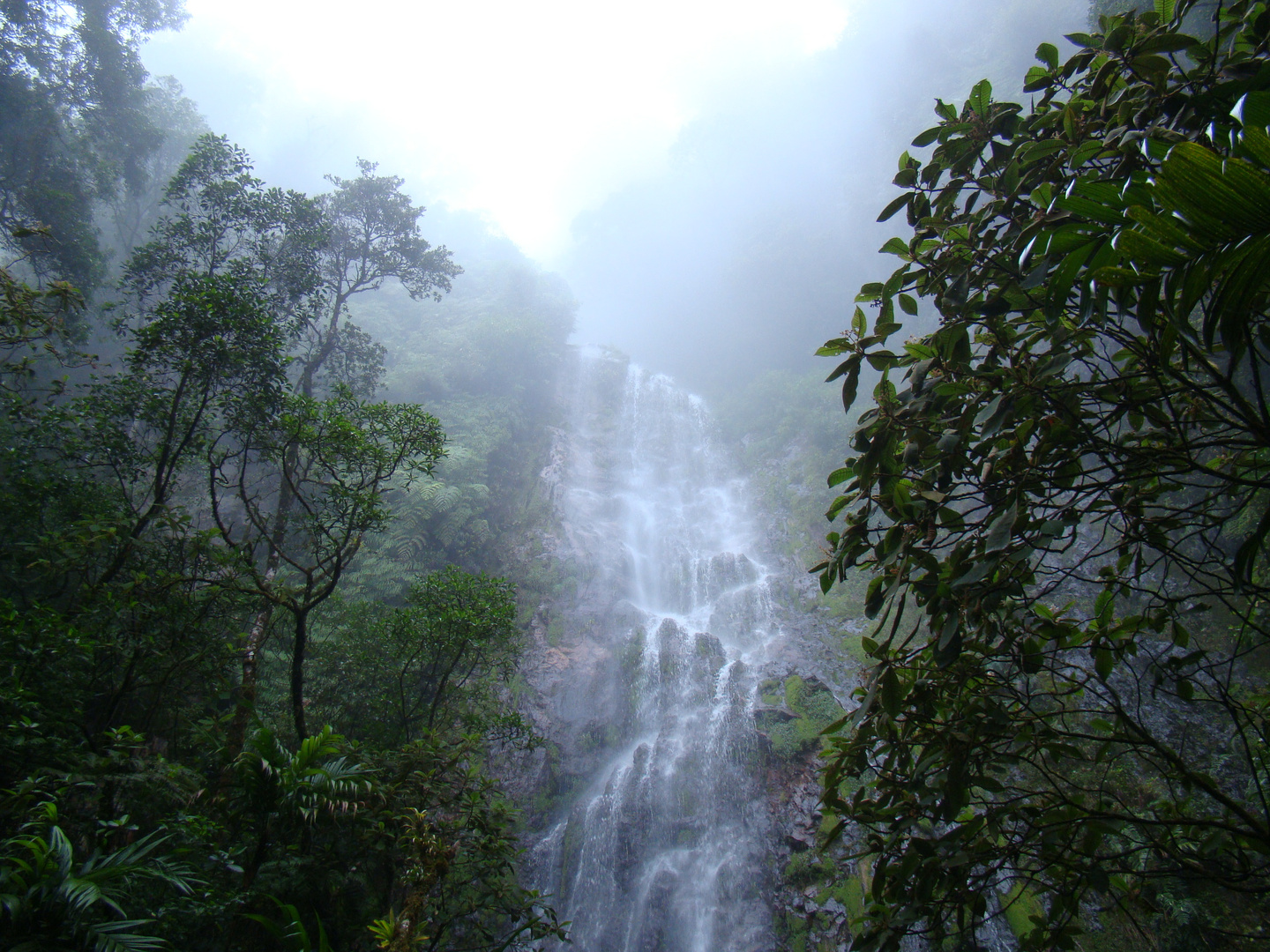 Catarata en Montaña La Tigra , Honduras